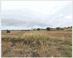  2025Ÿ��1535  �����