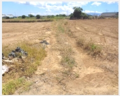  2025Ÿ��1535  �����