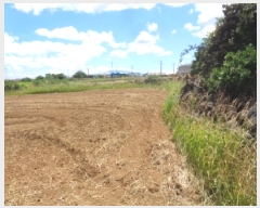  2025Ÿ��1535  �����