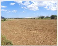  2025Ÿ��1535  �����