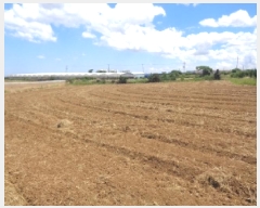  2025Ÿ��1535  �����