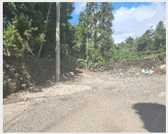  2025Ÿ��1544 ���� ���ֽ� �Ѹ��� ���縮 541      ����(������)���