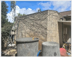  2025Ÿ��1544 ���� ���ֽ� �Ѹ��� ���縮 541      ����(������)���