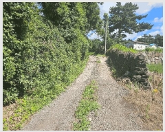  2025Ÿ��1544 ���� ���ֽ� �Ѹ��� ���縮 541      ����(������)���