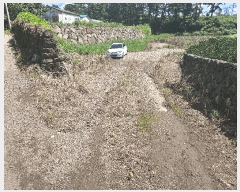  2025Ÿ��1544 ���� ���ֽ� �Ѹ��� ���縮 541      ����(������)���