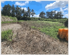  2025Ÿ��1544 ���� ���ֽ� �Ѹ��� ���縮 541      ����(������)���