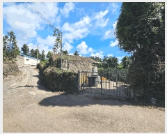  2025Ÿ��1544 ���� ���ֽ� �Ѹ��� ���縮 541      ����(������)���