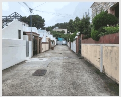  2025Ÿ��1553  ���ð��