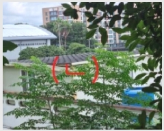  2025Ÿ��1553  ���ð��