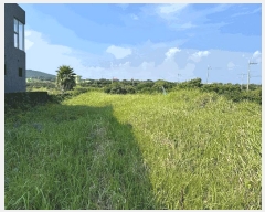  2025Ÿ��1575 ���� ���ֽ� �쵵�� ���� 122      ����(��1)���