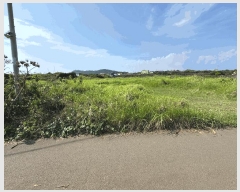  2025Ÿ��1575 ���� ���ֽ� �쵵�� ���� 122      ����(��1)���
