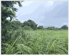  2025Ÿ��1616 ���� �������� ������ ��޸� 2155      ����(�Ӿ�)���