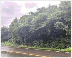  2025Ÿ��1616 ���� �������� ������ ��޸� 2155      ����(�Ӿ�)���