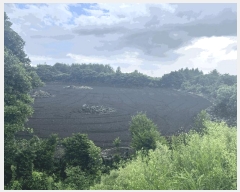  2025Ÿ��1616 ���� �������� ������ ��޸� 2155      ����(�Ӿ�)���