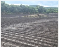  2025Ÿ��1616 ���� �������� ������ ��޸� 2155      ����(�Ӿ�)���