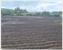  2025Ÿ��1616 ���� �������� ������ ��޸� 2155      ����(�Ӿ�)���