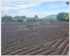  2025Ÿ��1616 ���� �������� ������ ��޸� 2155      ����(�Ӿ�)���