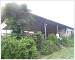  2025Ÿ��1634 ���� ���ֽ� �ؾȵ� 48-8       ���ð��