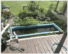  2025Ÿ��1634 ���� ���ֽ� �ؾȵ� 48-8       ���ð��