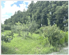  2025Ÿ��1634 ���� ���ֽ� �ؾȵ� 48-8       ���ð��