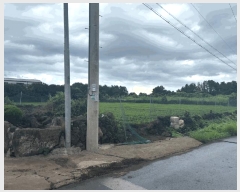  2025Ÿ��1661  �Ӿ߰��