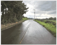  2025Ÿ��1661  �Ӿ߰��