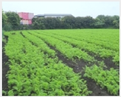  2025Ÿ��1661  �Ӿ߰��