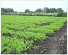  2025Ÿ��1661  �Ӿ߰��