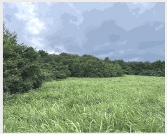  2025Ÿ��1670  �Ӿ߰��