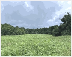  2025Ÿ��1670  �Ӿ߰��