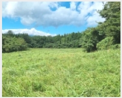  2025Ÿ��1670  �Ӿ߰��