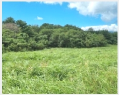  2025Ÿ��1670  �Ӿ߰��