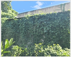  2025Ÿ��1680 ���� �������� �ȴ��� ������ 2329-5      ���ð��