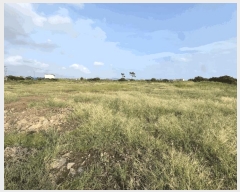  2025Ÿ��1725 ���� �������� ������ ������ 3904-1      ����(��1)���