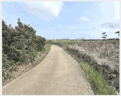  2025Ÿ��1725 ���� �������� ������ ������ 3904-1      ����(��1)���