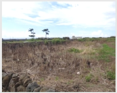  2025Ÿ��1725 ���� �������� ������ ������ 3904-1      ����(��1)���