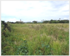  2025Ÿ��1725 ���� �������� ������ ������ 3904-1      ����(��1)���