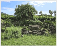  2025Ÿ��1736  ���ð��