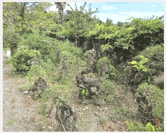  2025Ÿ��1736  ���ð��