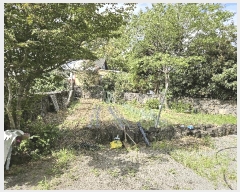  2025Ÿ��1736  ���ð��