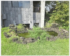  2025Ÿ��1736  ���ð��