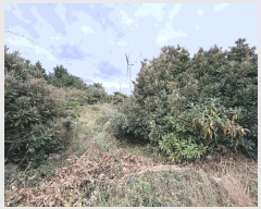  2025Ÿ��1789 ���� ���ֽ� ������ �ѵ��� 1739      ����(�Ӿ�)���