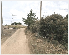  2025Ÿ��1789 ���� ���ֽ� ������ �ѵ��� 1739      ����(�Ӿ�)���