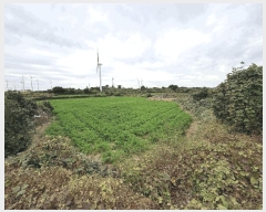  2025Ÿ��1789 ���� ���ֽ� ������ �ѵ��� 1739      ����(�Ӿ�)���