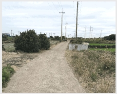  2025Ÿ��1789 ���� ���ֽ� ������ �ѵ��� 1739      ����(�Ӿ�)���