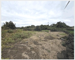  2025Ÿ��1789 ���� ���ֽ� ������ �ѵ��� 1739      ����(�Ӿ�)���