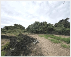  2025Ÿ��1789 ���� ���ֽ� ������ �ѵ��� 1739      ����(�Ӿ�)���