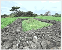  2025Ÿ��1789 ���� ���ֽ� ������ �ѵ��� 1739      ����(�Ӿ�)���