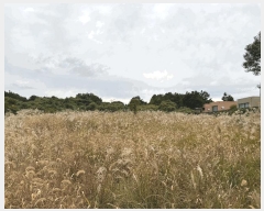  2025Ÿ��1806 ���� ���ֽ� ������ �۴縮 1107-8      ����(�Ӿ�)���