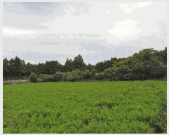  2025Ÿ��1806 ���� ���ֽ� ������ �۴縮 1107-8      ����(�Ӿ�)���